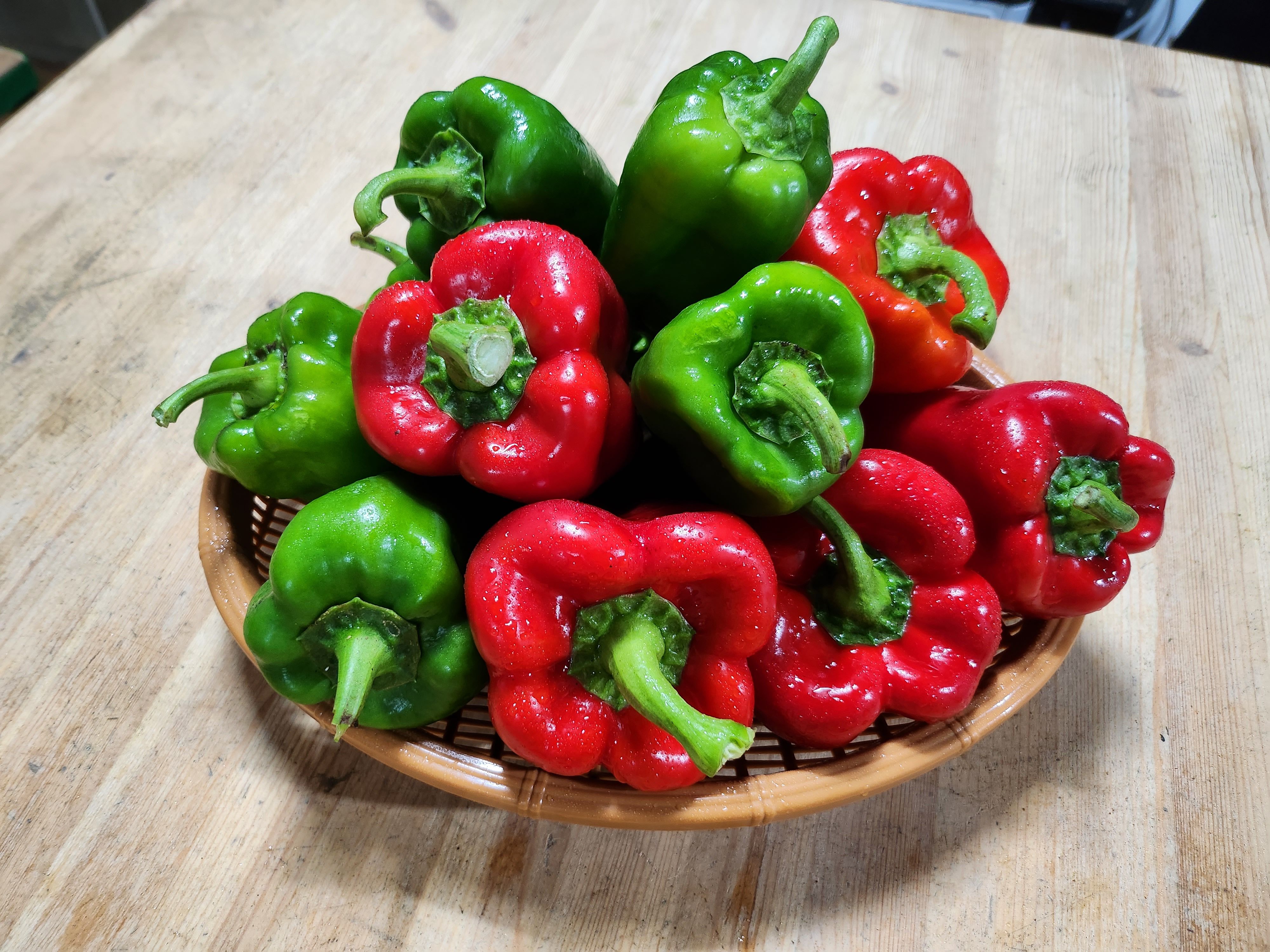 국내산 피망 홍피망 상 1kg 3kg 5kg 10kg : 밈밈상회
