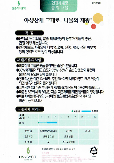 곰취 씨앗 종자100립 : 하우투팜