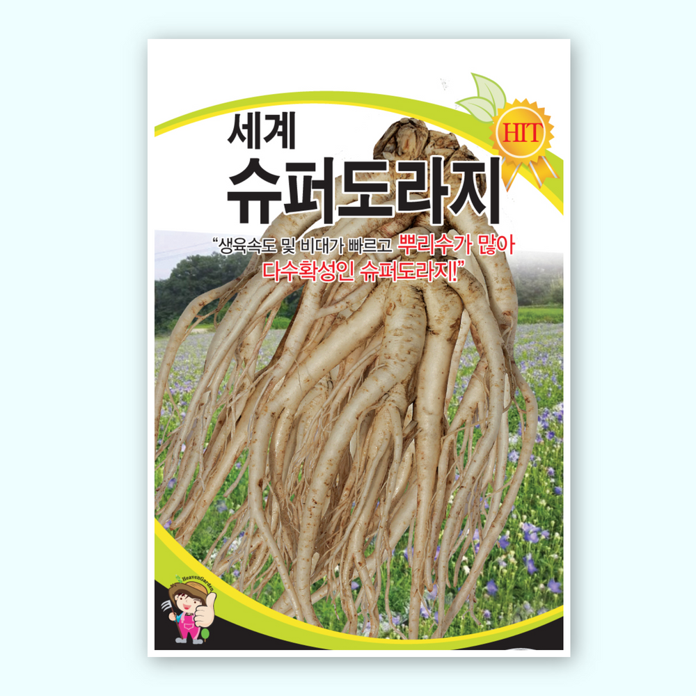 슈퍼도라지씨앗 1,000립 : 흥농상사