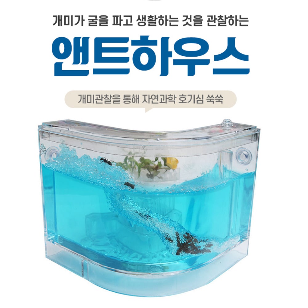 개미 집 키우기 앤트 하우스 기억 자형 관찰 만들기세트 : 스마트초이스M