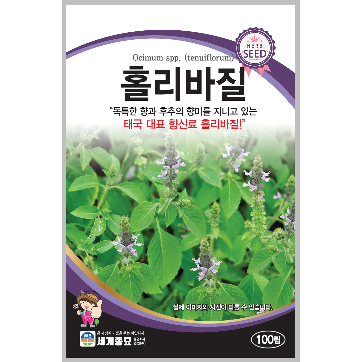 홀리바질 100립 / 허브 씨앗 종자 향신료 태국음식 : 초록스타