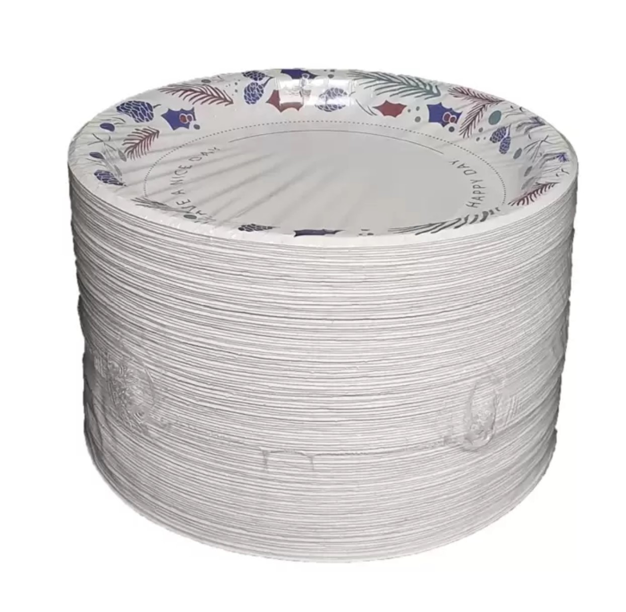 코스트코 삼풍 친환경 종이접시 대 26cm x 120매 : allNew