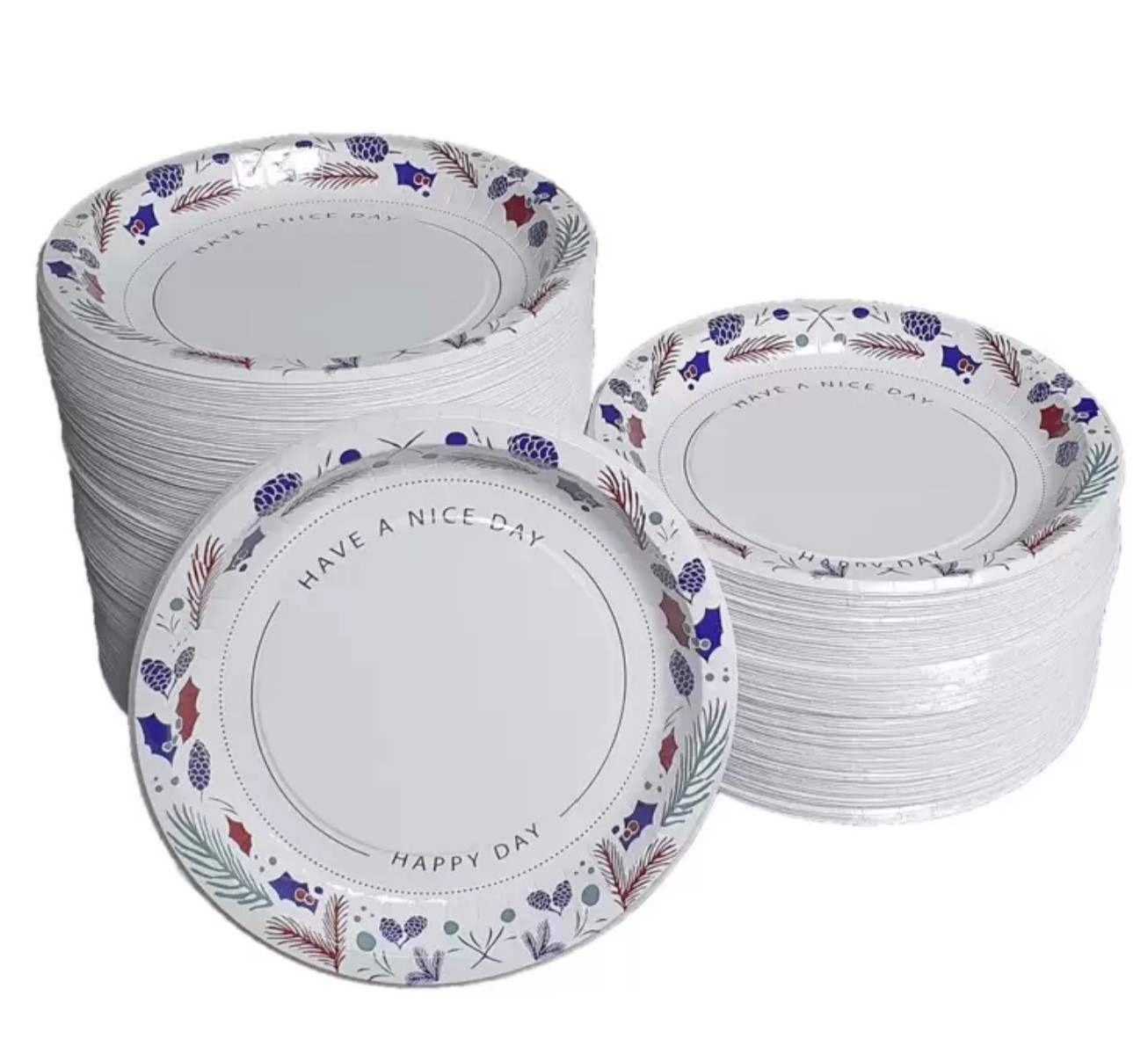 코스트코 삼풍 친환경 종이접시 대 26cm x 120매 : luty