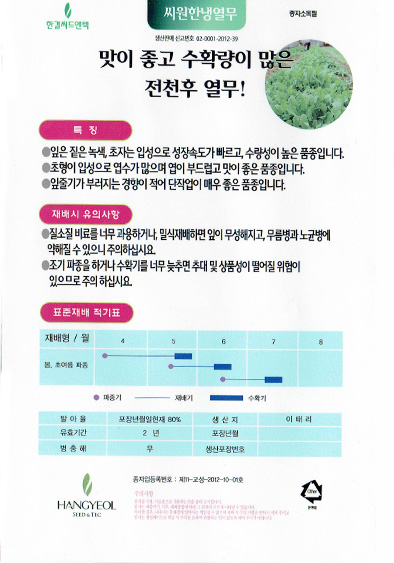 씨원한냉열무 씨앗 종자30g : 하우투팜