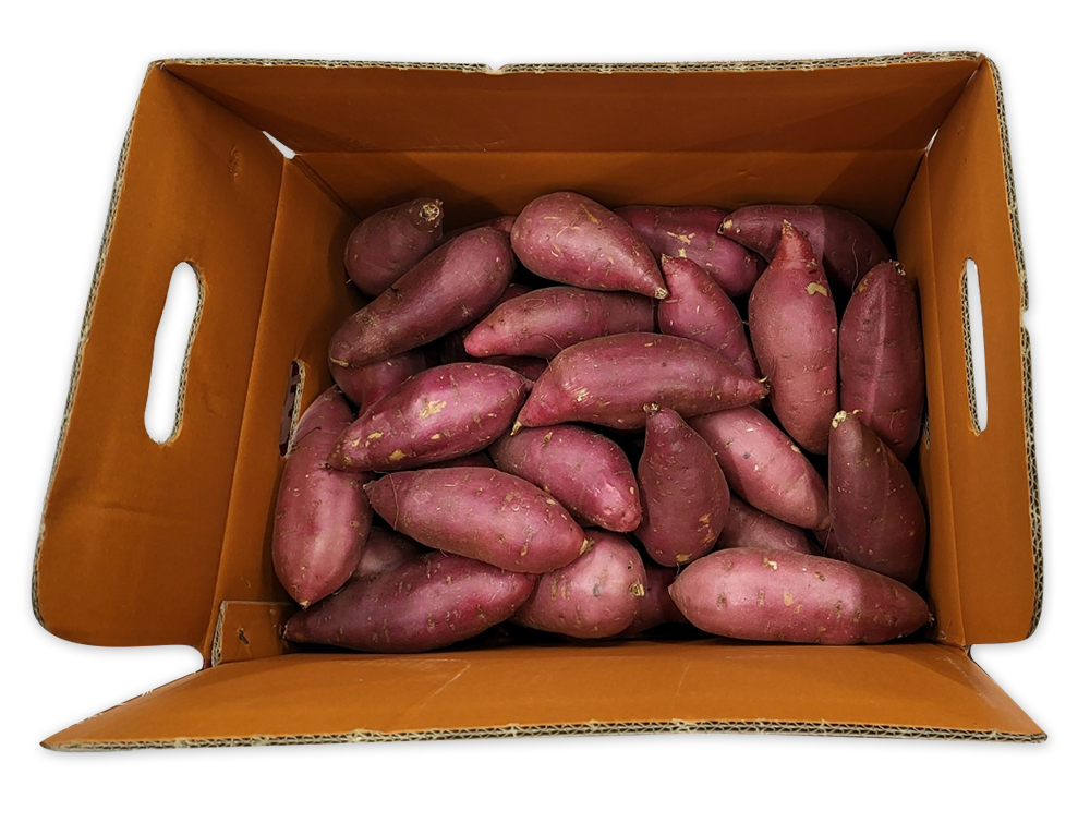 해뜰농원 영암 황금 토울 무농약 친환경 고구마 5kg 10kg : 해뜰농원