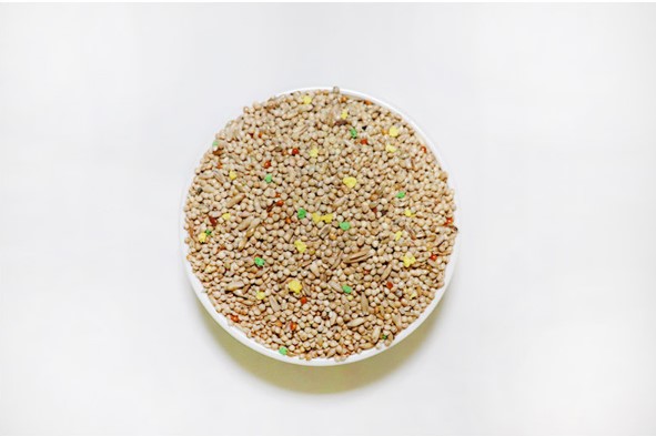 앵무새먹이 이탈리아산 마니토바 잉꼬 사랑앵무 4kg 새 사료 모이 밥 용품 간식 펠렛 : 리프패럿
