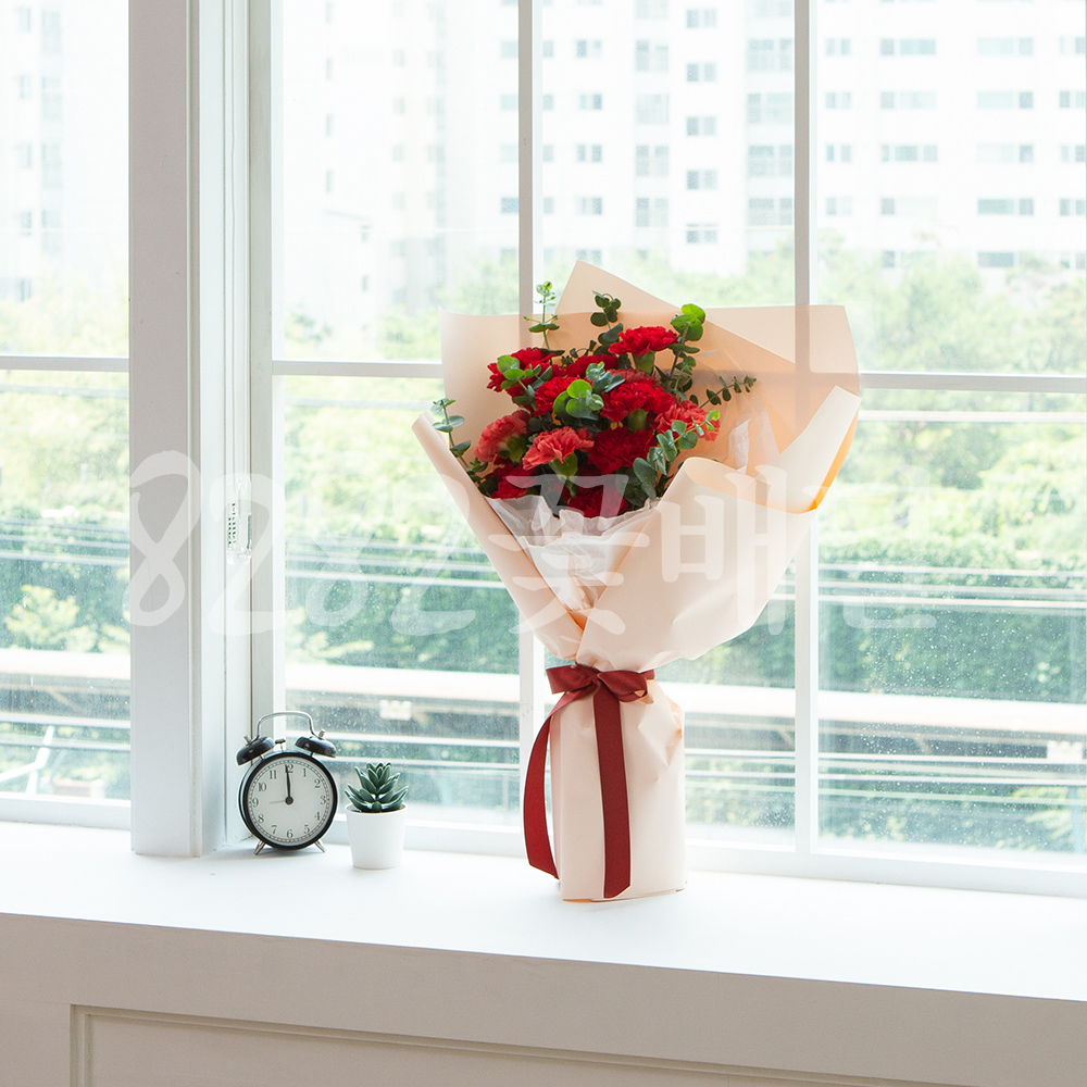 카네이션꽃다발 꽃배달 생일결혼기념일꽃 꽃집 VC1010 : 8282꽃배달