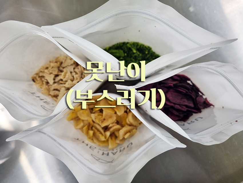 더하루 못난이 야채칩 과일칩 과일젤리 정상가 반값 할 인 요거트 아이스크림 토핑 : 더하루 본점