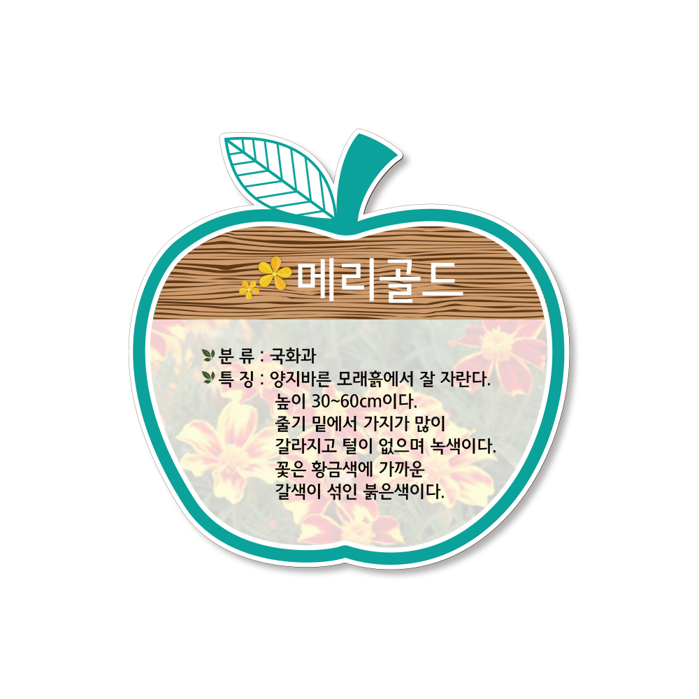 케이월드/수목표찰/걸이/사과형/포맥스/식물이름표 : 케이월드디자인