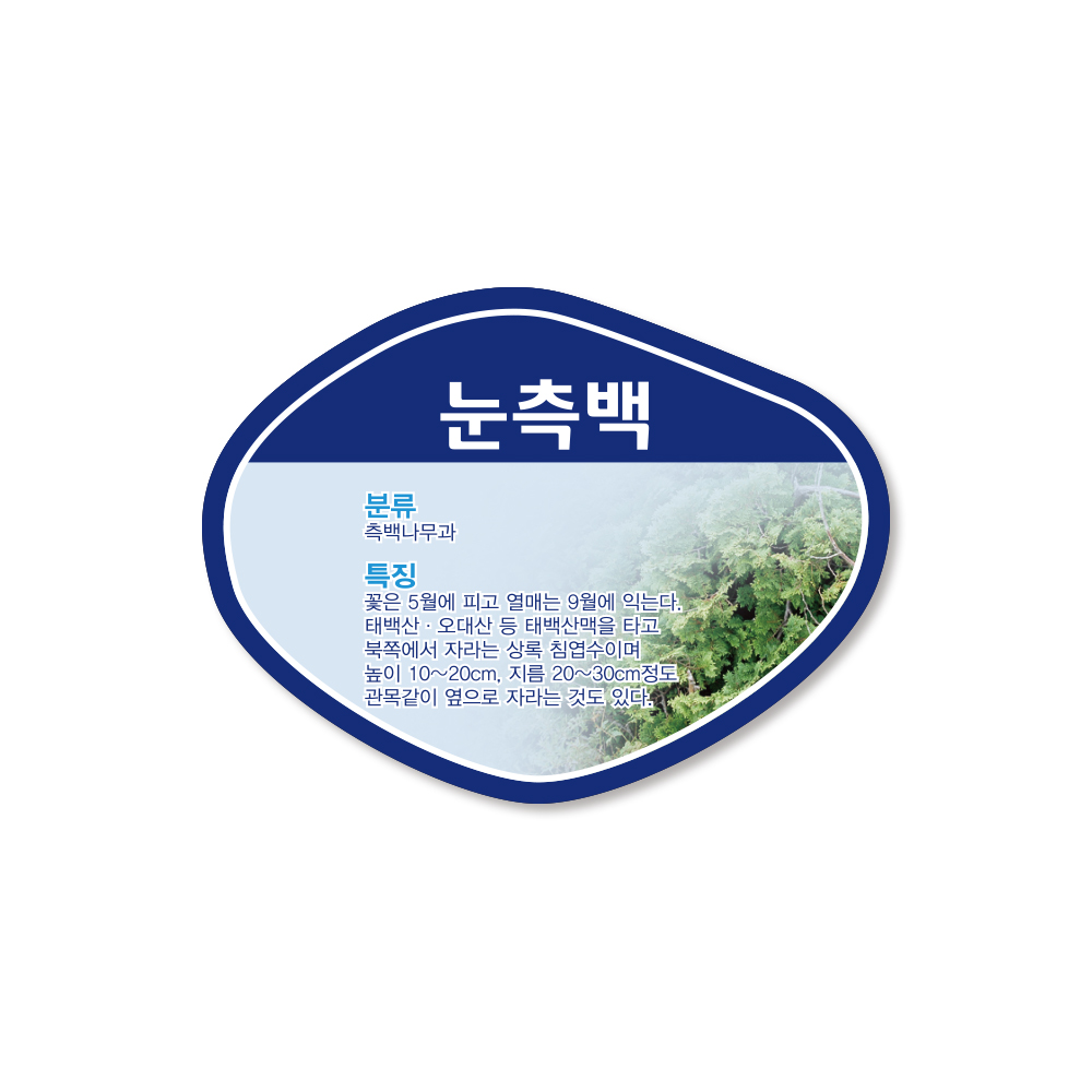 케이월드/수목표찰/걸이/조약돌형/포맥스/식물이름표 : 케이월드디자인