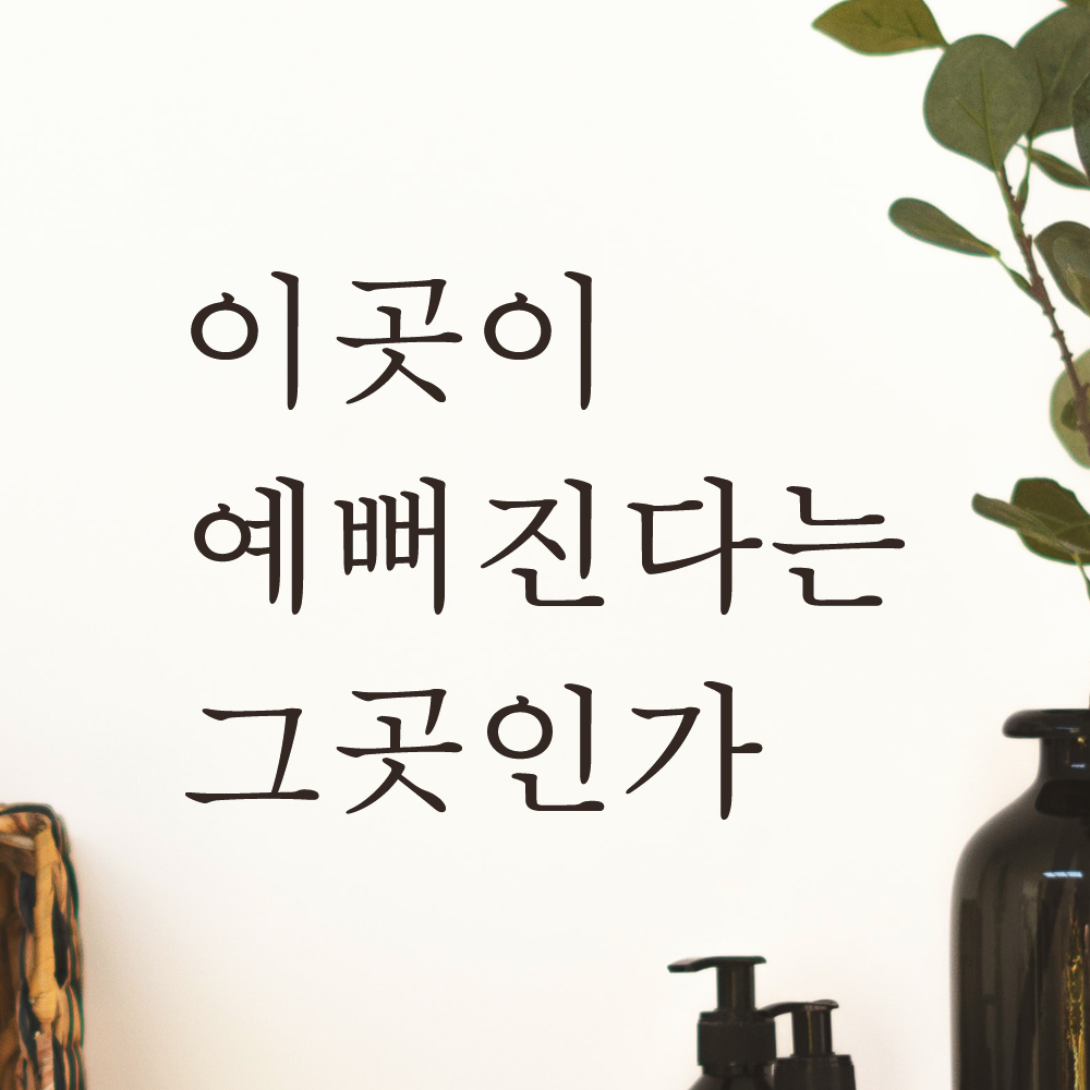 이곳이 예뻐진다는 그곳인가 레터링 스티커 L-059S검정 : 어썸투데이