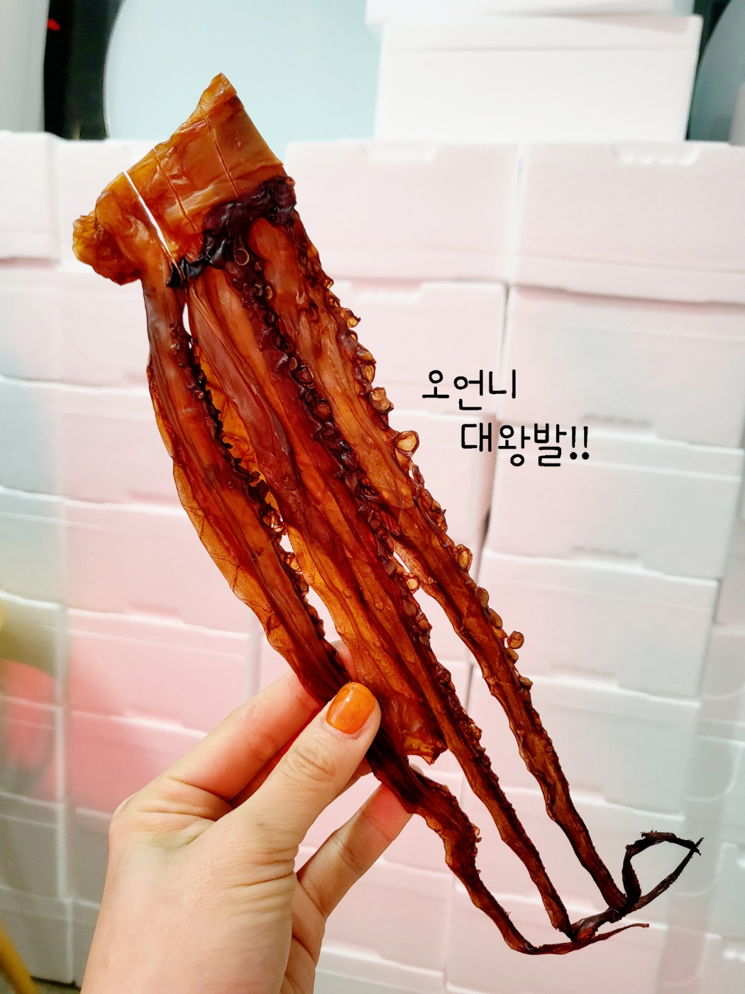 [ 대왕발 ] 오징어파는언니 숏다리 군산건어물 마른오징어 술안주 : 오징어파는언니 군산본점