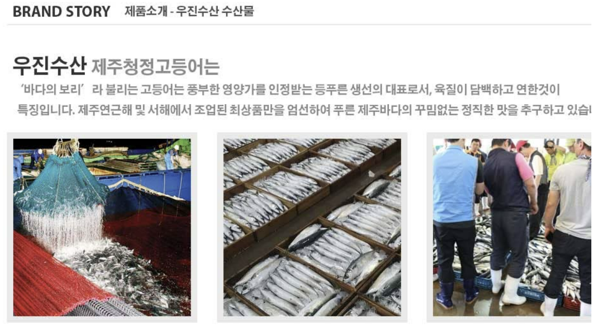 제주 고등어살 냉동 간 손질 특대 2.5kg : 제주 우진수산