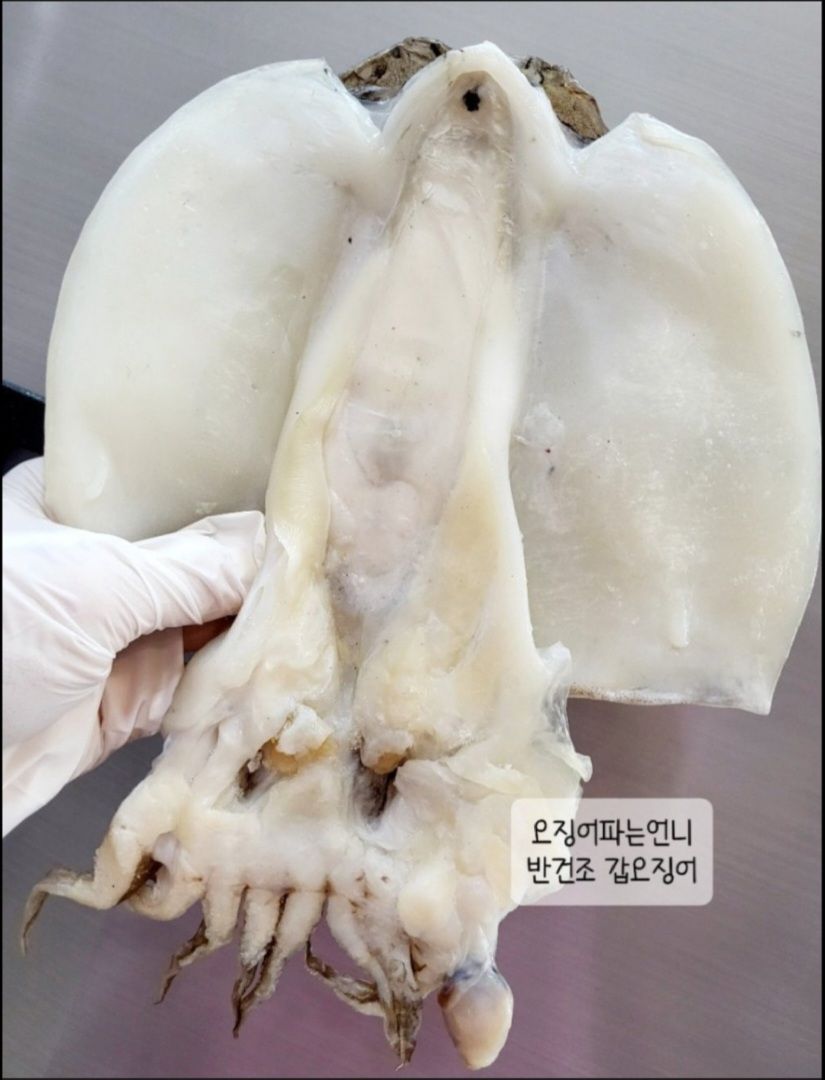 ▶한정수량◀[ 반건조 갑오징어] 냉동보관  안산오언니건어물 오징어의참맛 안산오언니 : 오징어파는언니 안산점