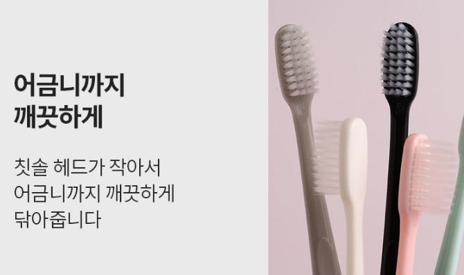 저자극 입냄새 치석 제거 부드러운 어금니 미세모 칫솔 10개입 : 어흥이스토어