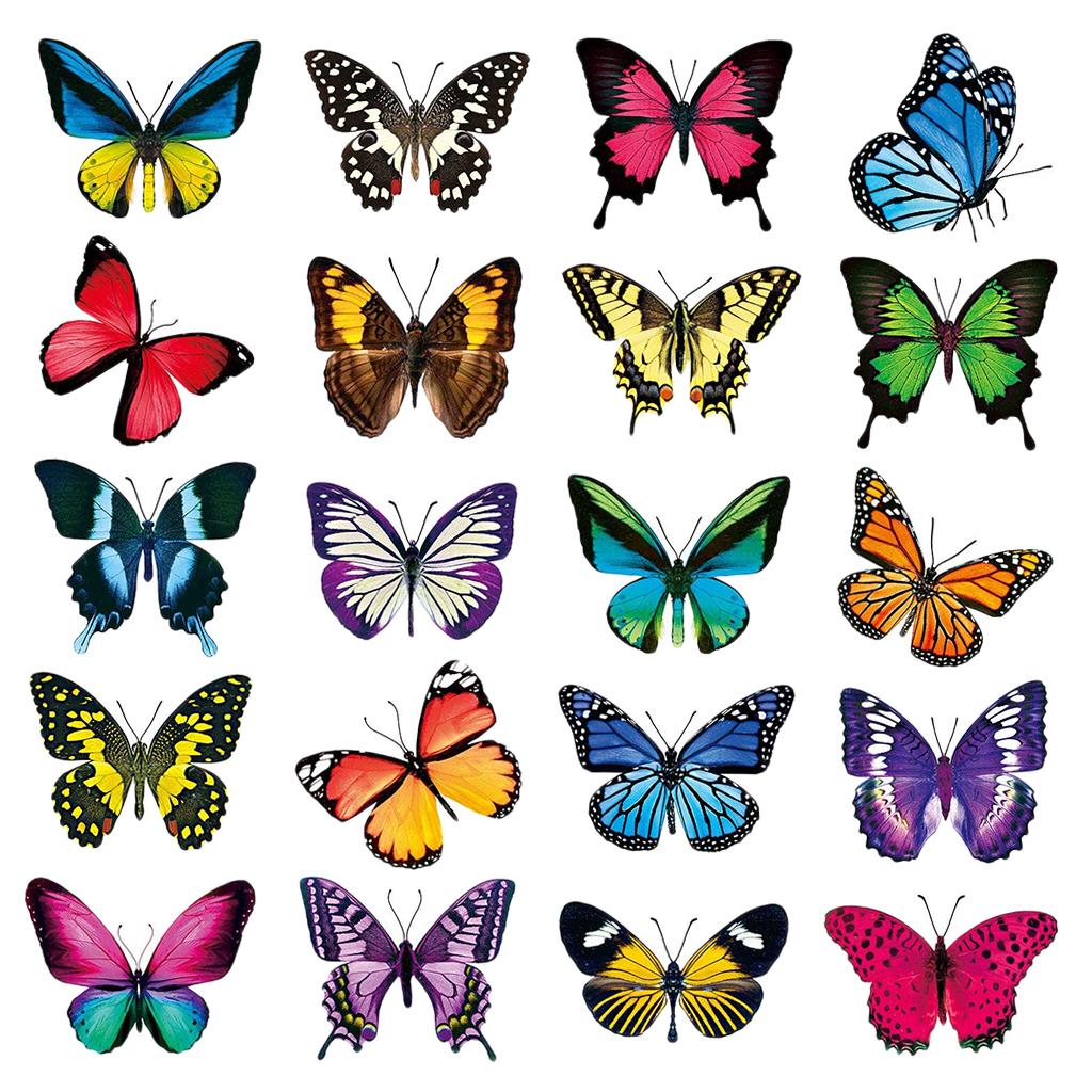 포스터액자 20 Pcs 나비 창 스티커 장식 Clings Anti-Collision 새 유리 : 니더마켓투