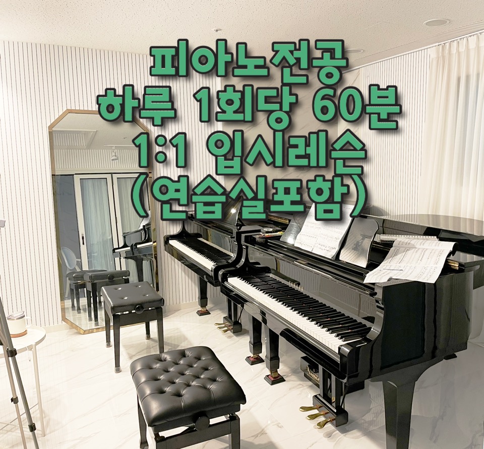 피아노전공 하루 당일 1회당 60분 / 1:1입시레슨 / 레슨당일 연습실사용 포함 : 앤피아노