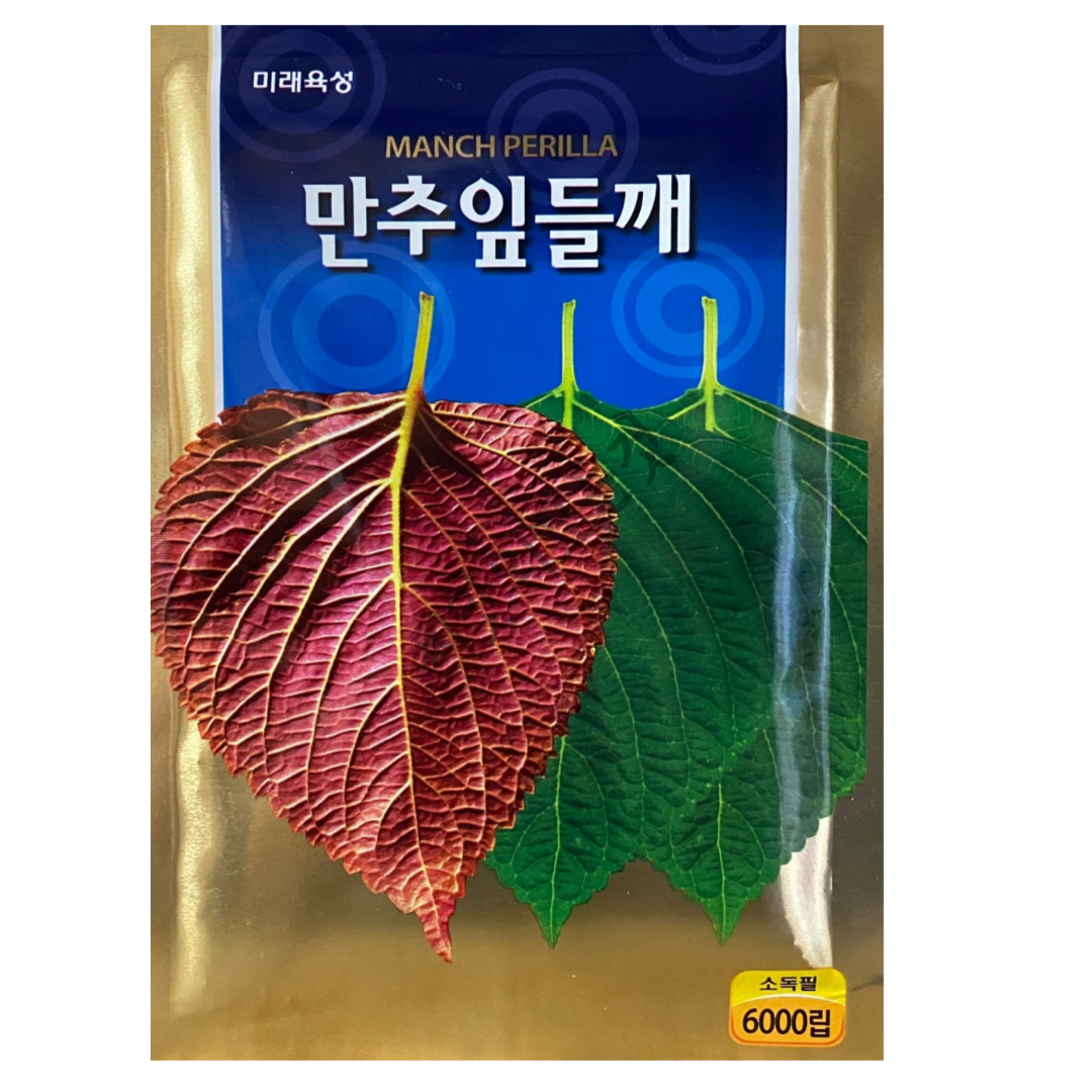 깻잎씨앗 종자 6000립 미래 : 씨앗의모든것