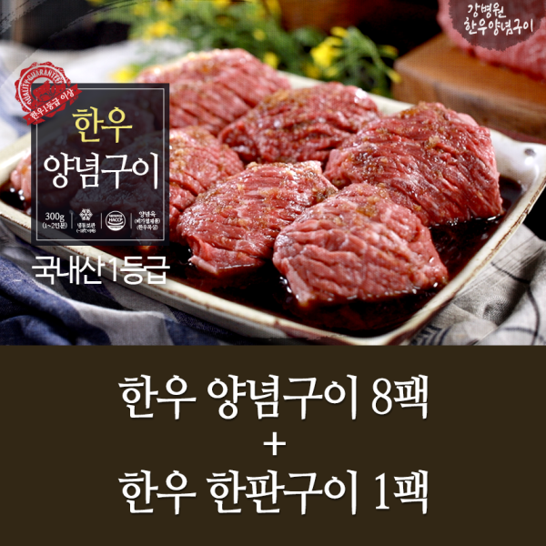 강병원한우1등급양념구이300g×8팩+한우1등급한판구이180gx1팩 : 공영쇼핑