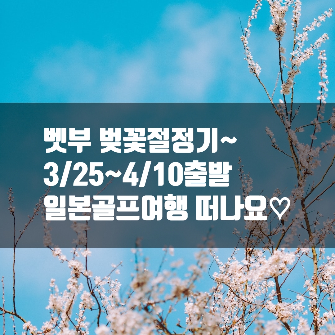 일본 벚꽃시즌! 오이타 벳부 골프 3박4일 패키지 여행[인천출발, 부산출발] : 누림투어