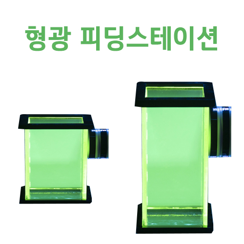 형광 피딩스테이션 : 코통령