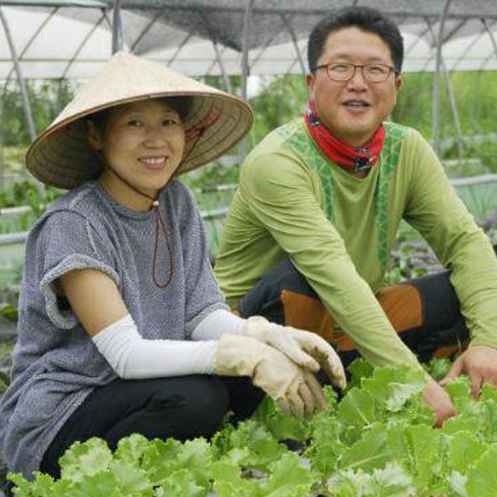 애벌레농장 모듬쌈채소 1kg : 익산시 마을전자상거래지원단
