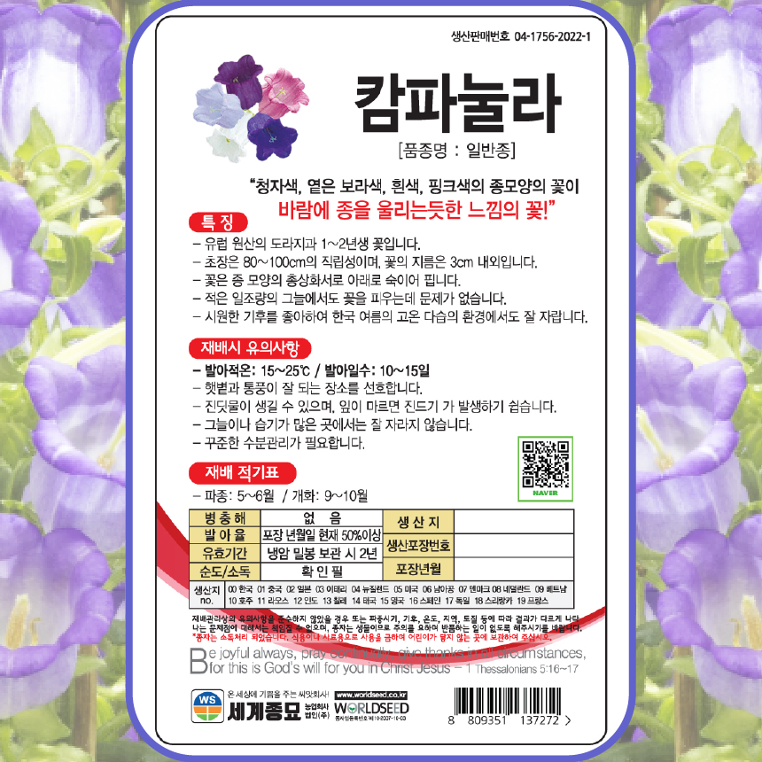 캄파눌라 씨앗 혼합 꽃씨 꽃씨몰 종자 봄 여름 파종 꽃 작물 식물 bell flower : 주주씨앗