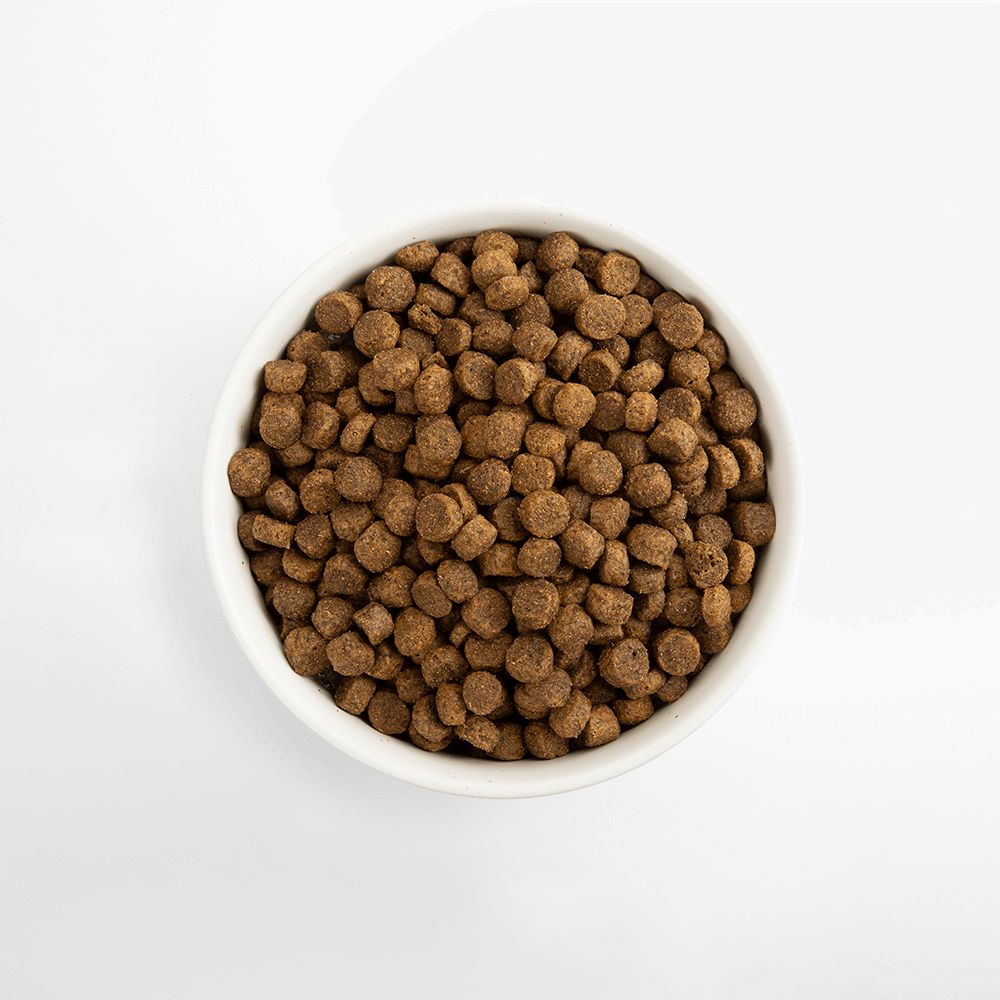 베스트브리드 1등급 홀리스틱 올브리드 사료 올라이프, 1.8kg, 1개 : 몬트라움