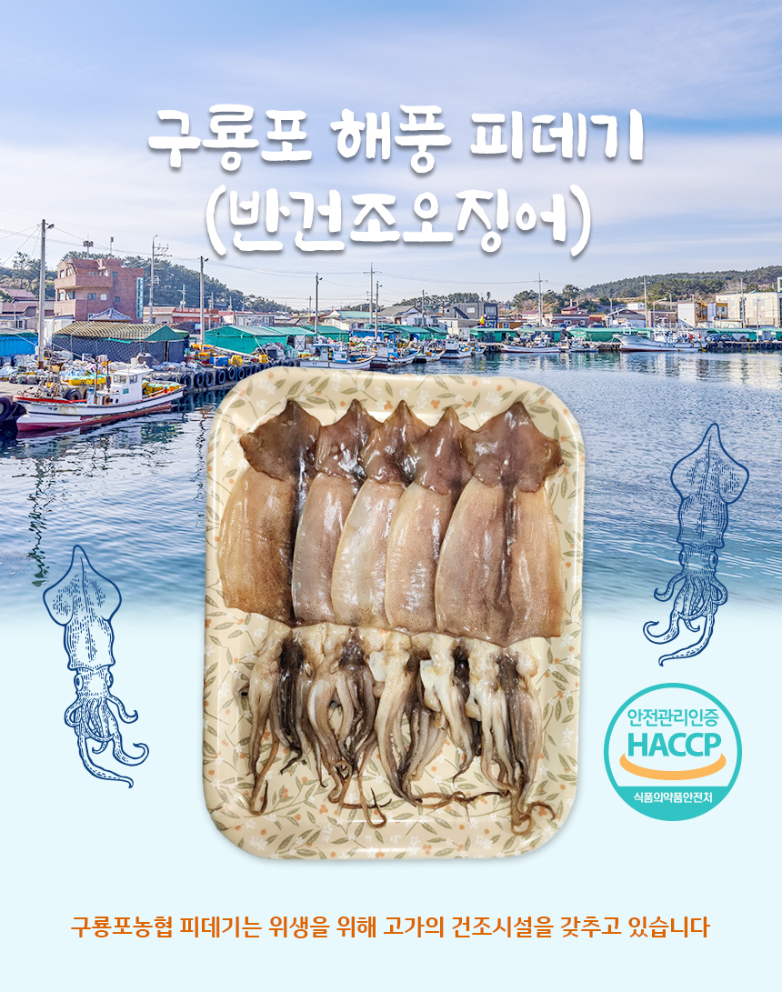 반건조오징어 피데기 손질오징어 건어물 오징어 마른[구룡포농협] : 구룡포농협