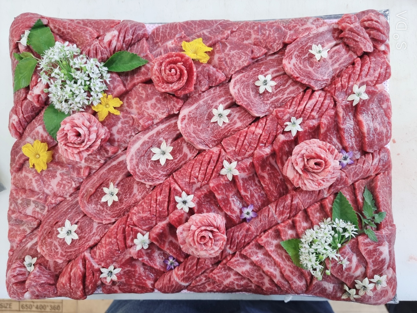 필축산 한우1++스폐셜모듬게이크 1000g : hancook