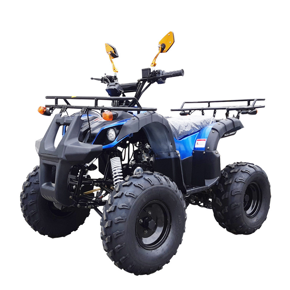 봄맞이 이벤트 -125cc ATV-B형 사륜오토바이 전진(1-3단) 후진가능 효도상품 : 누리모터스