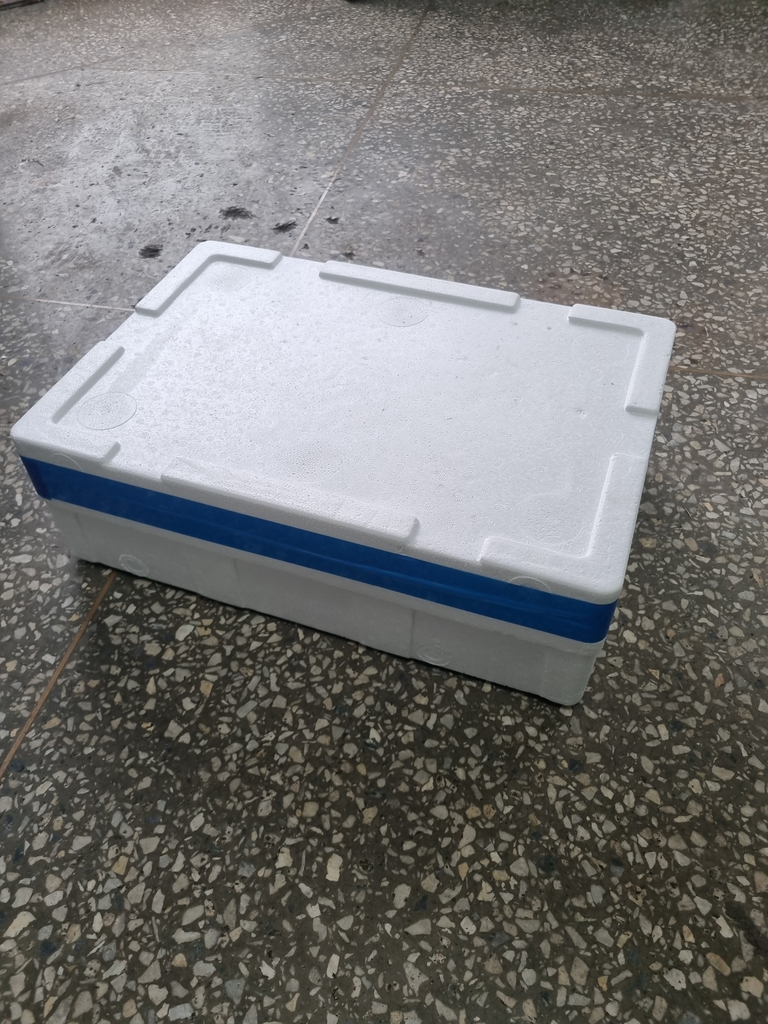 염장해파리10kg(태국산) : 진영물산