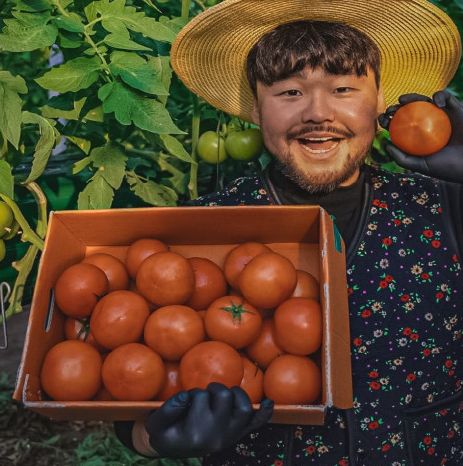 대저 짭짤이 짭잘이 찰 토마토 2.5kg : 과일가게청년