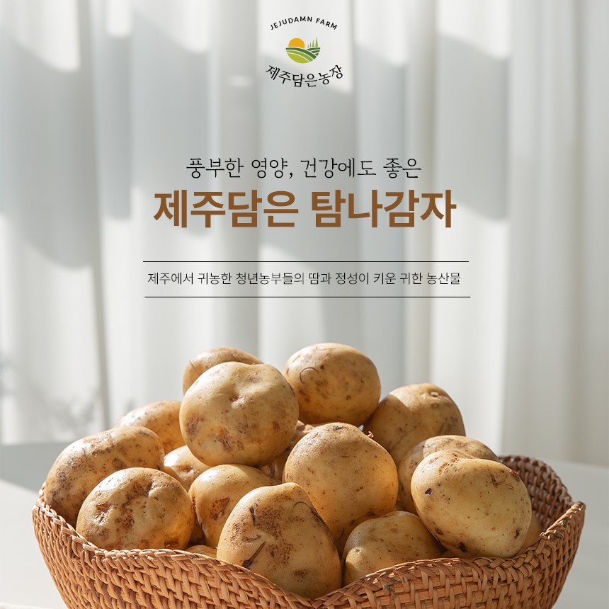 제주담은 탐나감자 : 제주담은농장
