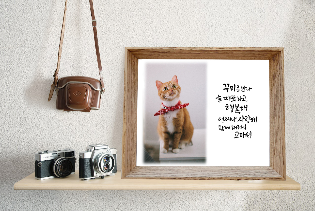 캘리그라피 반려동물 굿즈 포토액자, 반려견반려묘 반려동물 추억추모 생일입양 기념 : 그린파이브