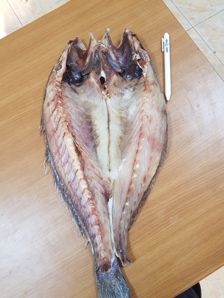 건어물총각(민어 1미)서해바다 태안 직접손질 반건조생선 구이조림찜용 선물용 : 건어물 총각