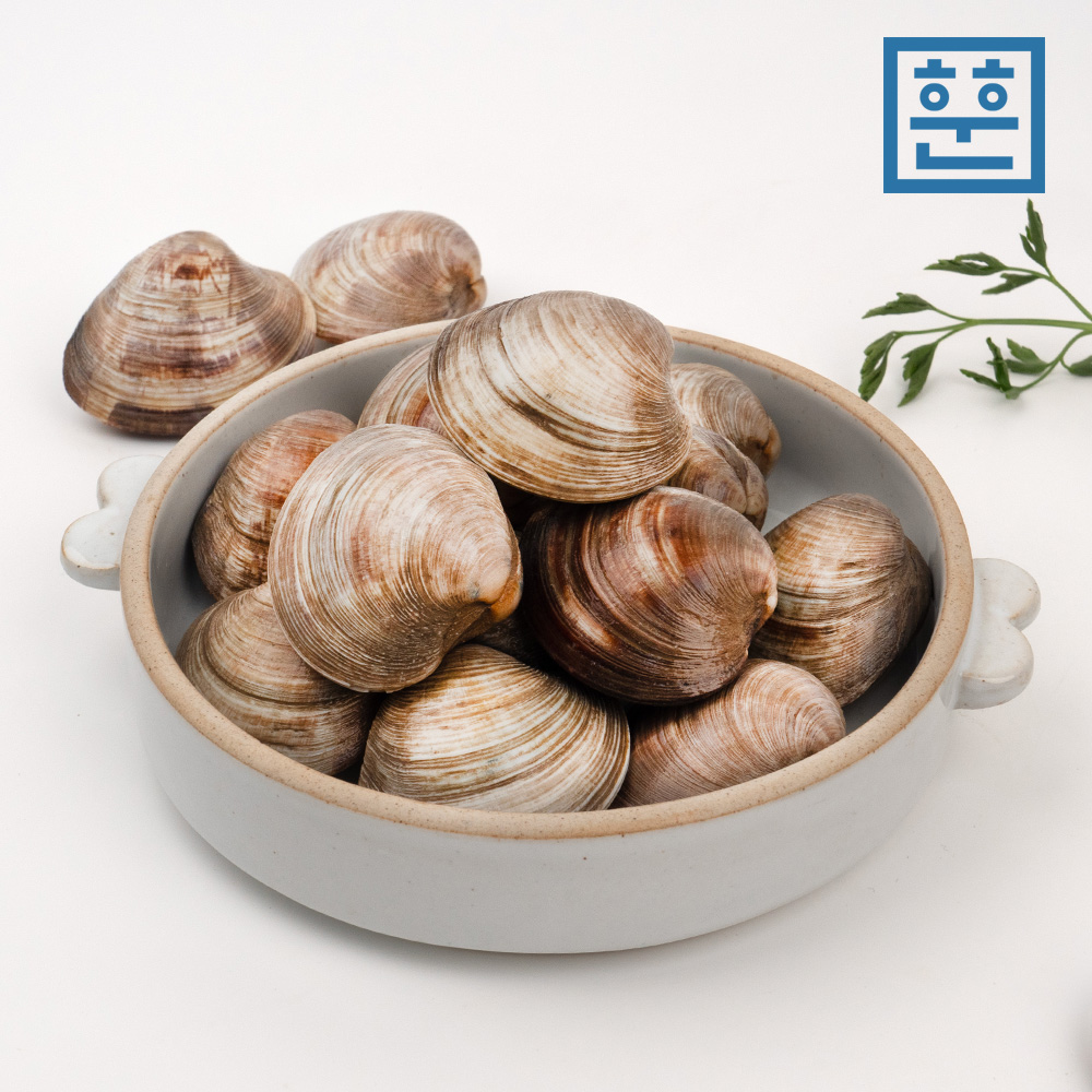 훈훈수산 백합 백상합 조개 백생합 제철 탕,찜,구이용 : 훈훈수산