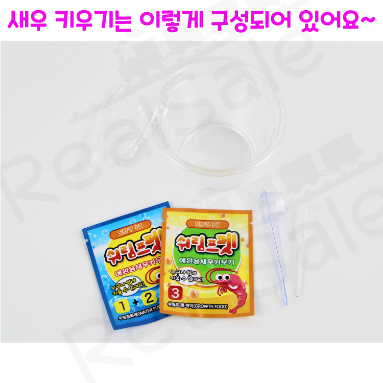 리얼세일(Realsale) 꼬마 새우키우기/꼬마 새우 키우기/새우키우기/씨몽키 : 리얼세일