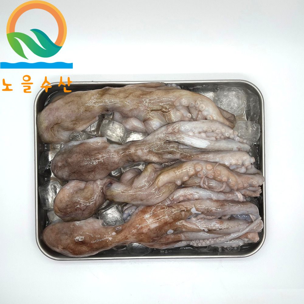 냉동낙지 4미 6미 급냉 활낙지  850g : 노을 수산