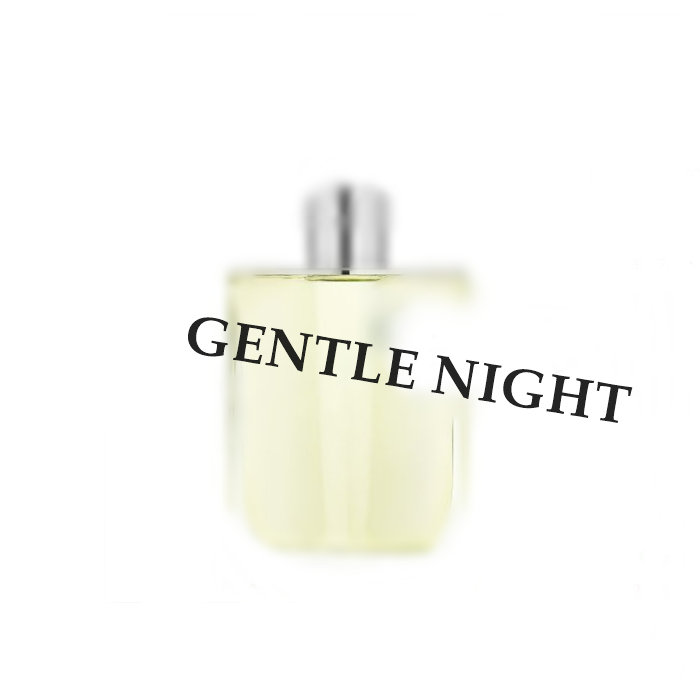 젠틀나잇 프래그런스오일 100ml / 논픽션 TYPE   프래그런스오일 / 방산시장 니치브랜드 명품향오일전문 아이리스캔들 : 아이리스캔들