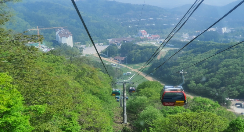 평창군지원 상품 [평창 택시투어 3탄] 발왕산케이블카+대관령양떼목장(당일) : 보군여행사