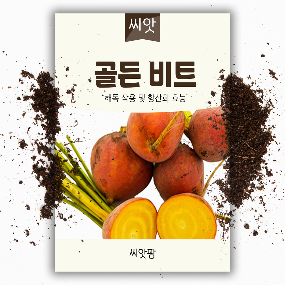 비트씨앗 100립 노랑 골든비트 씨 종자 : 씨앗팜