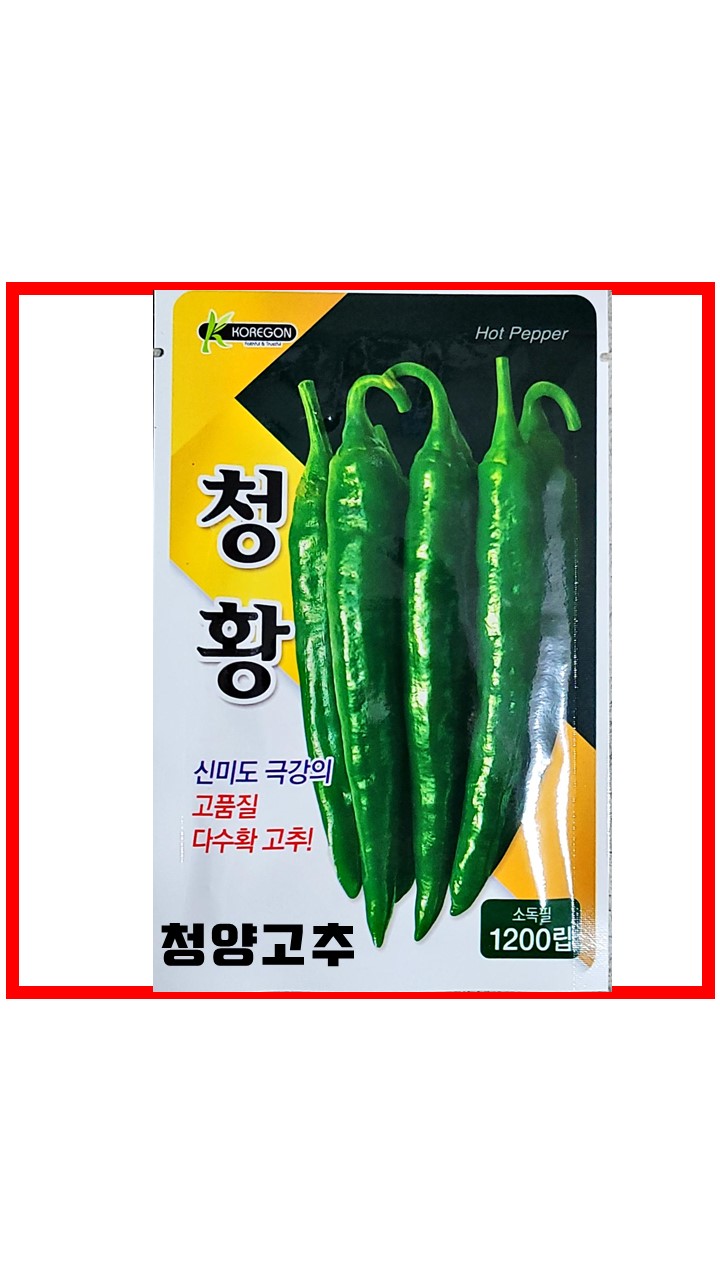 청양고추 청황 1,200립 뉴케이스플러스 2023년 일반청양고추씨앗 코레곤 : 흥농종묘농약사