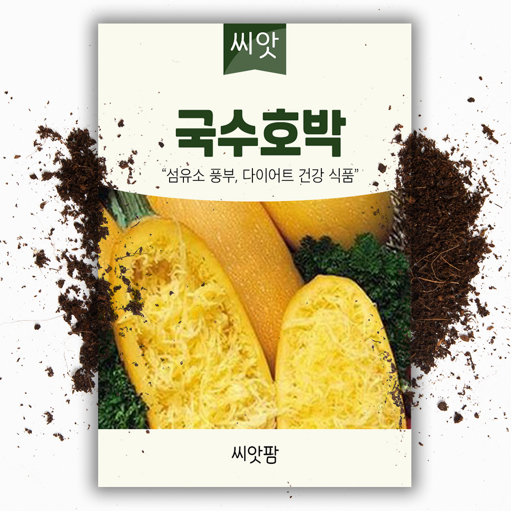 국수호박씨앗 30립 스파케티 호박 씨앗 종자 : 씨앗팜
