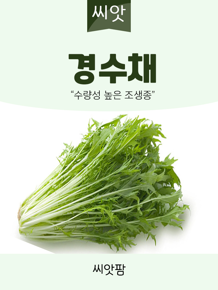 경수채/교나 씨앗 2000립 종자 : 씨앗팜