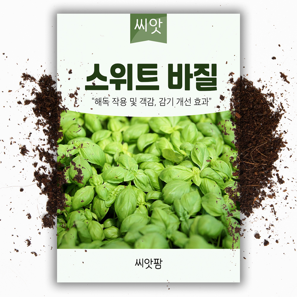 스위트 바질 씨앗 허브 키우기 바실 2000립 sweet basil 종자 : 씨앗팜