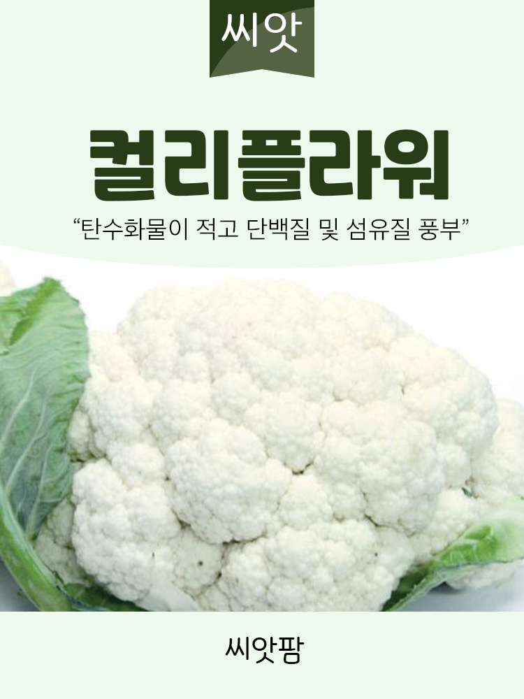 화이트 컬리플라워 씨앗 100립 종자 : 씨앗팜