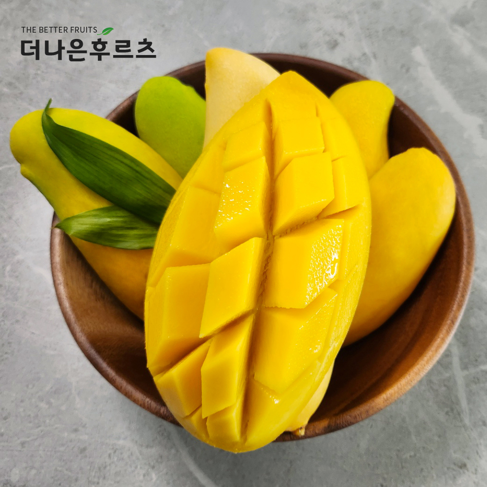 직수입 태국 마하차녹 무지개 망고 5kg 내외 가정용 선물용 : 더나은후르츠