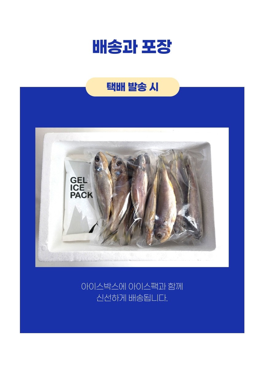 (목포햇살수산)목포 반건조 참조기 새끼 깡치 깡조기 20마리(1.2kg내외) : 목포햇살수산