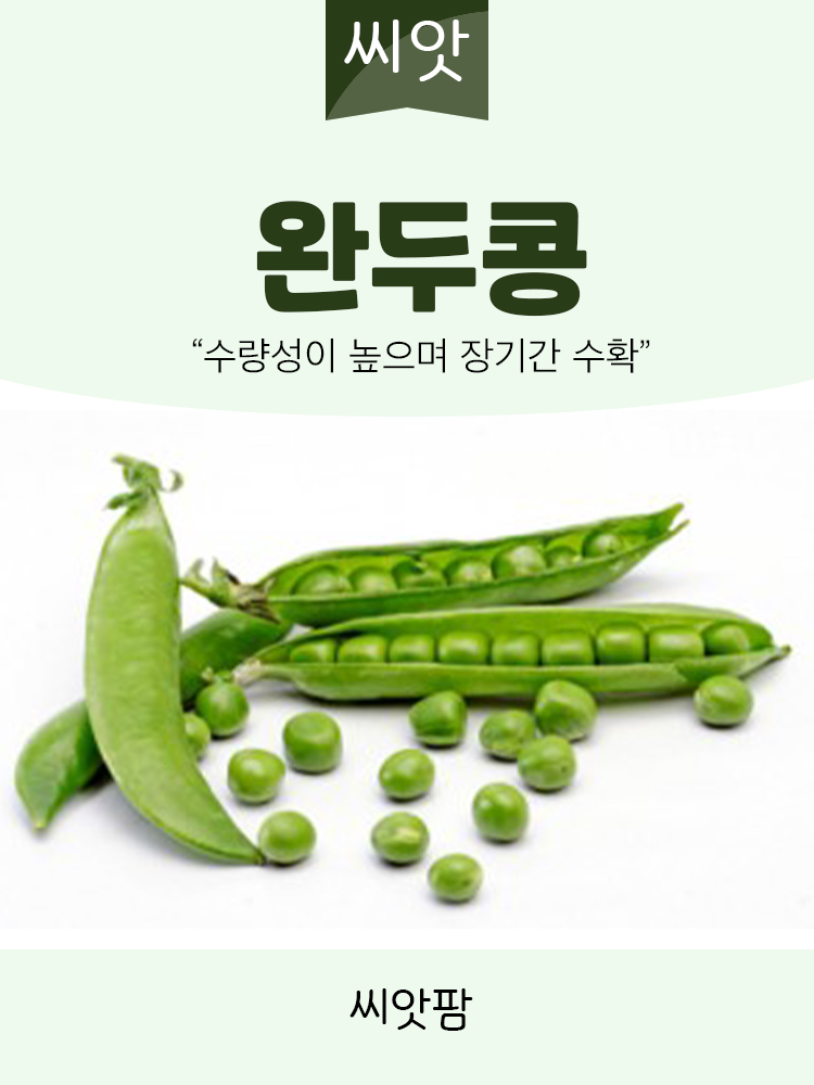 완두콩씨앗 40g 스파클 완두콩 종자 : 씨앗팜